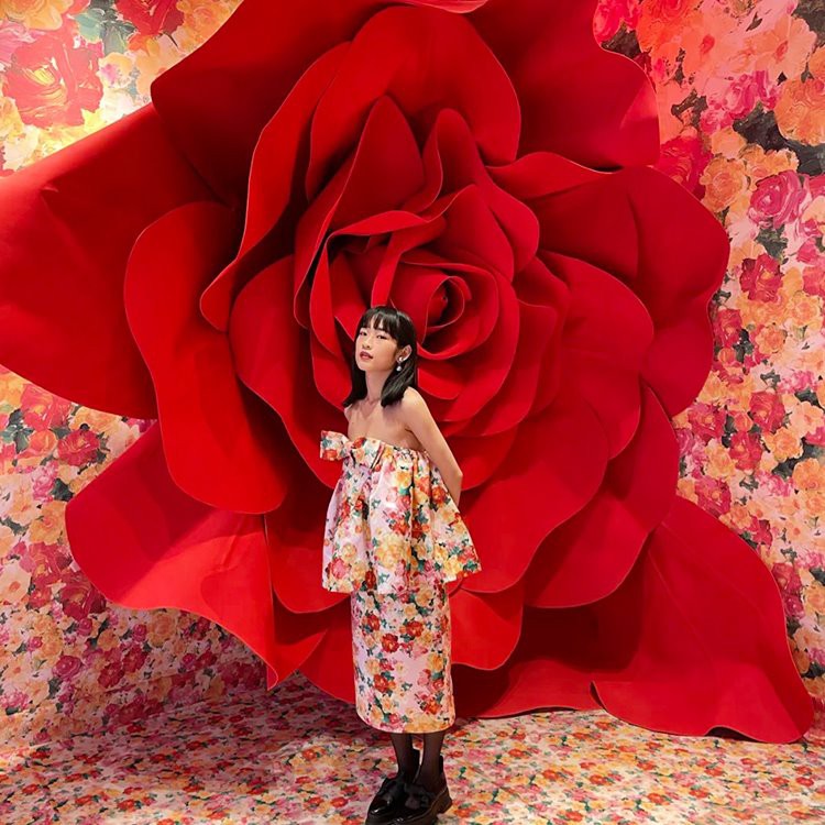 Гігантські фонові реквізити троянди