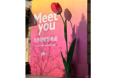 Великі паперові квіти